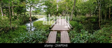 Panoramic view in late summer over the trail around Sanko lake of Shiretoko Goko Lakes in Hokkaido, Japan. Stock Photo