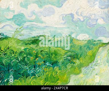 Green Wheat Fields, Auvers. Vincent van Gogh. 1890. Stock Photo