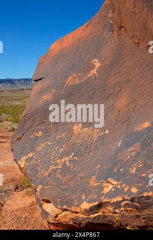 Petroglyphs, Little Black Mountain Petroglyph Site, Arizona Strip Bureau of Land Management, Arizona Stock Photo