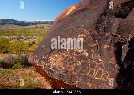 Petroglyphs, Little Black Mountain Petroglyph Site, Arizona Strip Bureau of Land Management, Arizona Stock Photo