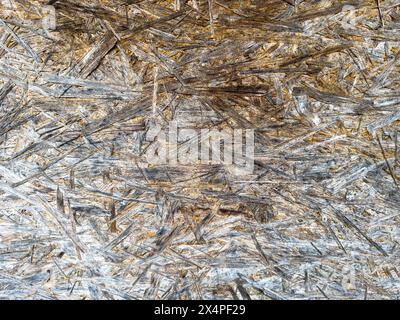 texture of wooden wall background Stock Photo