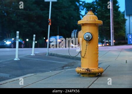 A yellow fire hydrant on a busy road at dusk. Stock Photo