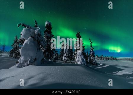 Aurora Borealis over Yukon ice forest, Alaska, USA Stock Photo