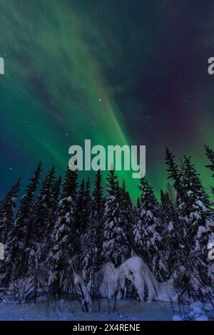 Aurora Borealis at O’Connell Creek in Fairbanks, Alaska, USA Stock Photo