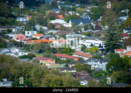 Residential Houses in Auckland - New Zealand Stock Photo