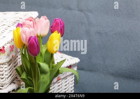 Bouquet of tulips of different colors on a gray background. Near wicker boxes. Stock Photo