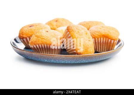 Magdalenas the typical spanish plain muffins on plate isolated on a white background. Stock Photo