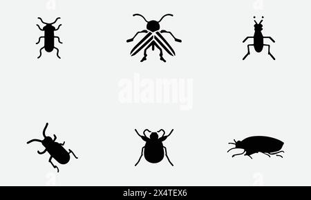 The Beauty of Beetle Illustration A Detailed Study Stock Vector