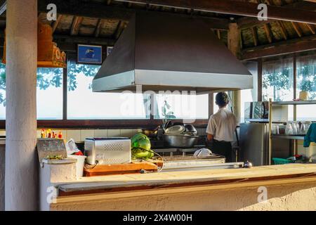 Kitchen Staff Seen from Behind Completing Dishwashing Duties Stock Photo