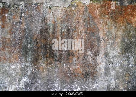 Old mossy wall texture for grunge background Stock Photo