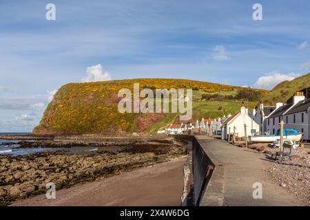 Pennan, a tiny Aberdeenshire fishing village in the North East of Scotland near Fraserburgh, with traditional cottages. Stock Photo