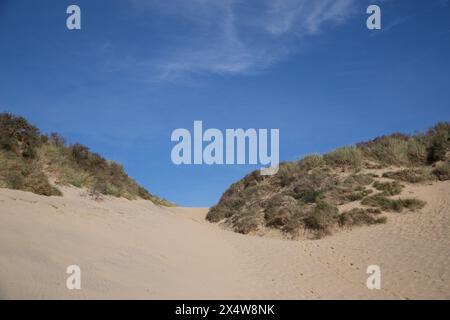 Rolling coastal sand dunes beneath a deep blue sky with wispy clouds on a clear day in southern England. Stock Photo