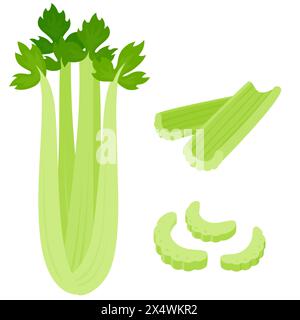 Fresh raw celery cartoon drawing set. Whole celery, cut into sticks and diced. Isolated flat vector illustration. Stock Vector