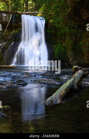 North Fork Silver Creek flows over Upper North Falls in a waterfall curtain of soft water in Silver Falls State Park Stock Photo