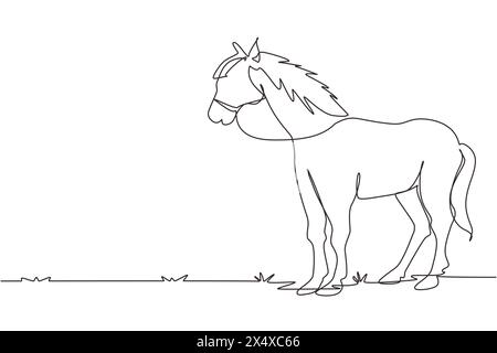 Continuous one line drawing horse standing still not moving watching. Strong character. Equestrian ranch field. Horse racing symbol, equestrian sport. Stock Vector