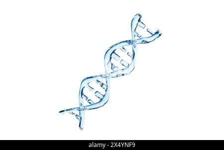 DNA in the white background, 3d rendering. 3d illustration. Stock Photo