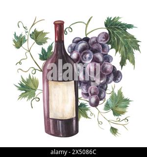 Wine bottle of red wine., grape. Han drawn watercolor illustration. Drawing isolated on the white background. Wine set. For menus, bars, restauranst, Stock Photo