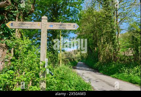 Offa's Dyke path to Panpunton Hill, near Knighton, Powys, Wales Stock Photo