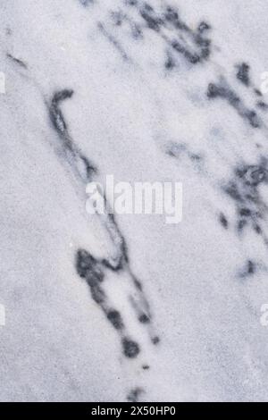 White marble texture background pattern with high resolution. Marble motifs that occurs natural Stock Photo