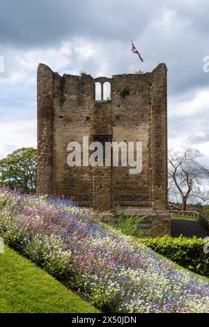 Guildford Castle Keep with colourful flowers in the gardens or grounds during May, Guildford, Surrey, England, UK Stock Photo
