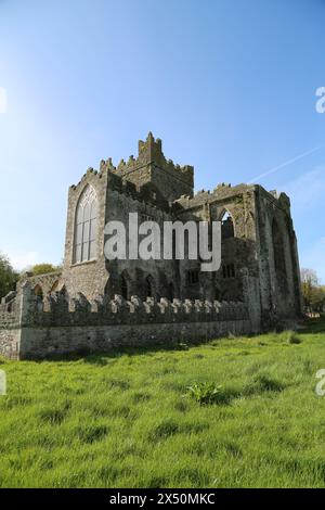 Dunbrody Abbey, Campile, County Wexford, Ireland Stock Photo