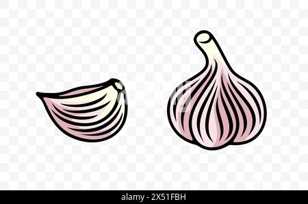 Garlic bulb and garlic cloves, graphic design. Spice, vegetable, bulb and herb, vector design and illustration Stock Vector