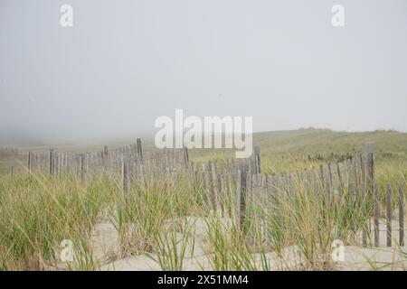 Landscape with wooden fencing in the dunes of Nauset Beach on Cape Cod Stock Photo