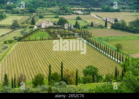 Panoramic view on Luberon valley with vineyards and cypress trees in Southern France Stock Photo