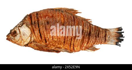 Fried crucian fish isolated on white background. Stock Photo