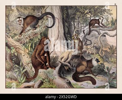 vintage-animal-illustration-