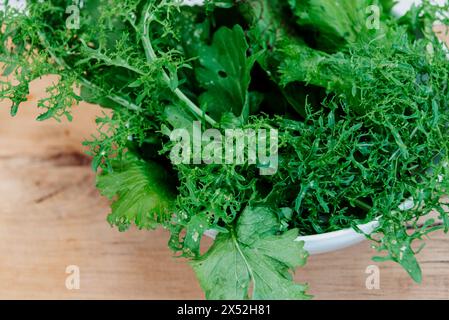 Green fresh mixed lettuce salad leaves in white bowl.High quality photo Stock Photo