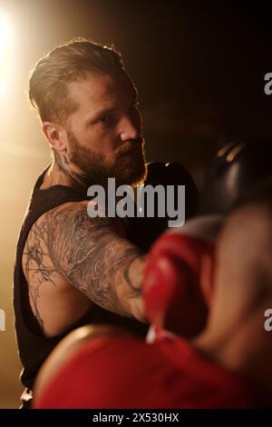 Young bearded boxer with tattoos on arm hitting his rival on face or head with boxing glove and looking at him during attack Stock Photo