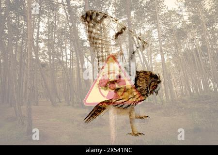 Double exposure of owl and forest with hazard sign. Radioactive pollution Stock Photo