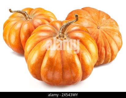 Round ripe pumpkins isolated on white background. Stock Photo