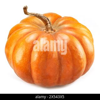 Round ripe orange pumpkin isolated on white background. Stock Photo