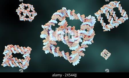 3d rendering of the construction from DNA of a covalently closed cube-like molecular complex Stock Photo