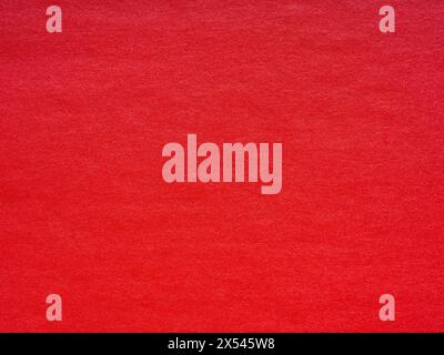 Contrast red paper background. Blank page pattern of designer cardboard. Stock Photo