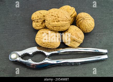 walnut (Juglans regia), Walnuts on a black background with nutcracker Stock Photo