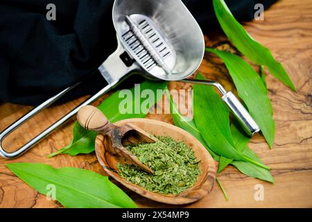 ramson, buckrams, wild garlic, broad-leaved garlic, wood garlic, bear leek, bear's garlic  (Allium ursinum), Wild garlic leaves, fresh and dried on a Stock Photo
