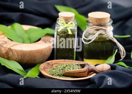 ramson, buckrams, wild garlic, broad-leaved garlic, wood garlic, bear leek, bear's garlic  (Allium ursinum), Wild garlic leaves, fresh and dried on a Stock Photo