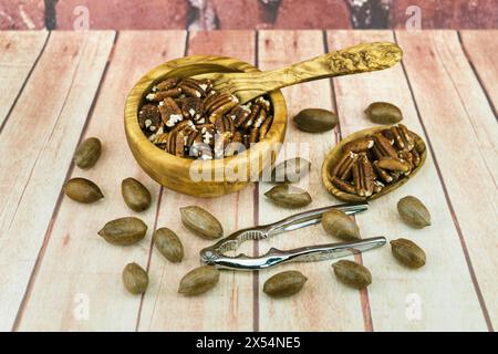 Pecan (Carya illinoiensis, Carya pecan), cracked pecans in a wooden bowl with a wooden spoon and nutcracker Stock Photo