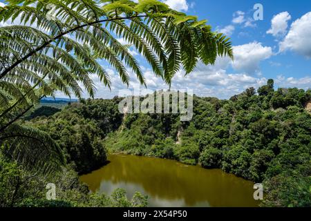 Southern Crater Lake, Waimangu Volcanic Valley, Bay of Plenty, North Island, New Zealand Stock Photo