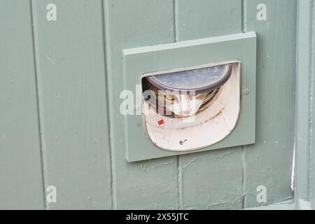 Cat peering through a cat flap Stock Photo
