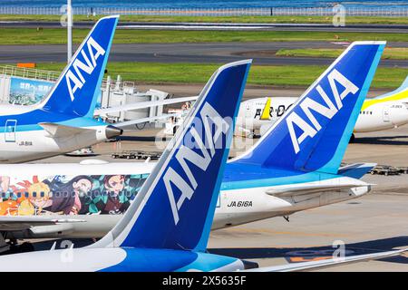 Leitwerke der ANA All Nippon Airways Flugzeuge Flughafen Tokyo Haneda in Japan Tokio, Japan - 6. Oktober 2023: Leitwerke der ANA All Nippon Airways Flugzeuge auf dem Flughafen Tokyo Haneda HND in Japan. *** Tail units of ANA All Nippon Airways aircraft Tokyo Haneda Airport in Japan Tokyo, Japan October 6, 2023 Tail units of ANA All Nippon Airways aircraft at Tokyo Haneda Airport HND in Japan Stock Photo