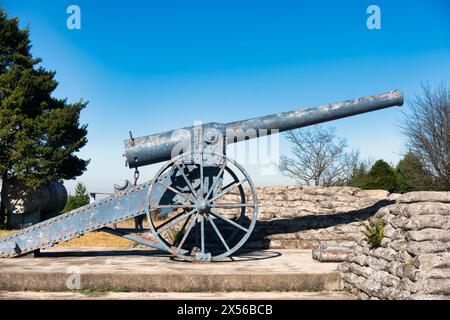 Long Tom Monument, history, Mpumalanga, South Africa, a French field gun commemorating the last use of the Boer 155 mm Creusot Long Tom guns during th Stock Photo