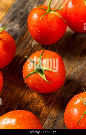 Red Organic Raw Beefsteak Tomatoes in a Bunch Stock Photo
