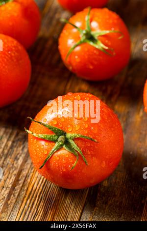 Red and green beefsteak tomatoes in a bowl FoodCollection Stock Photo ...