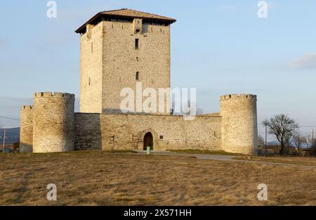 Vitoria / Gasteiz, Araba, Spain - 13th April 2025: Eduardo Camavinga of