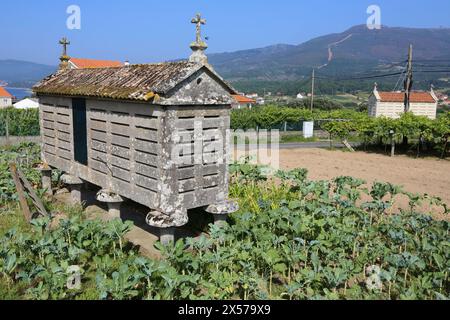 Horreo, Near of Porto do Son, A Coruña province, Galicia, Spain. Stock Photo