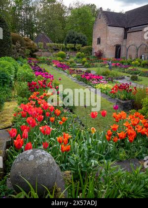 Chenies Manor Sunken Garden towards the Pavilion, old Nursery building at Tulip time.Vibrant orange, pink and purple tulips in the terraced garden. Stock Photo